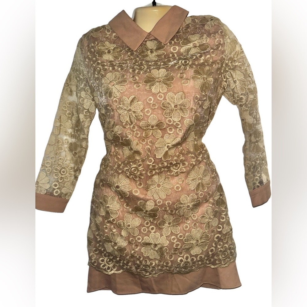 Brown Floral Lace Mini Dress with Contrast Collar